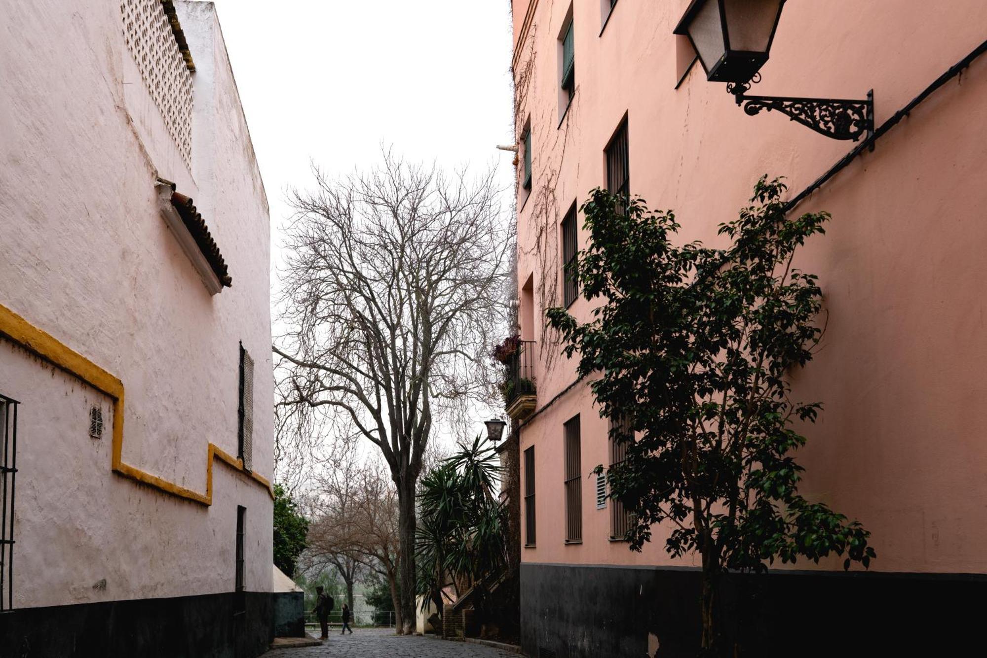 Apartamento Castilla 61 Севілья Екстер'єр фото